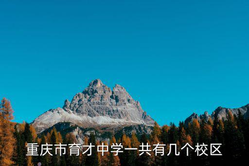 重慶市育才中學，重慶育才中學的簡介