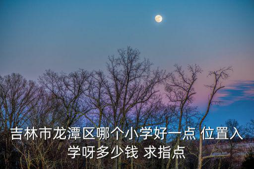 龍?zhí)缎W(xué)，吉林市龍?zhí)秴^(qū)哪個(gè)小學(xué)好一點(diǎn) 位置入學(xué)呀多少錢 求指點(diǎn)
