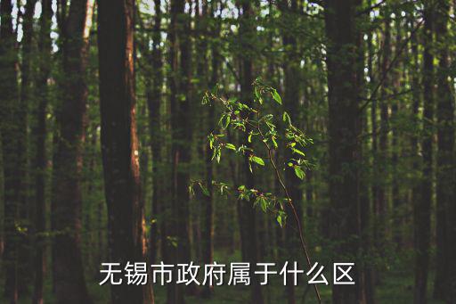 無錫市政府，無錫市政府屬于什么區