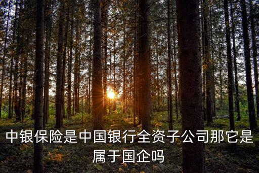 中銀保險是中國銀行全資子公司那它是屬于國企嗎