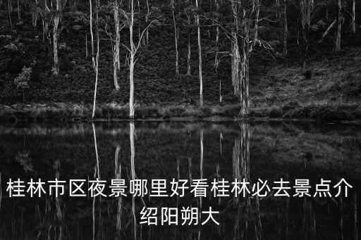 桂林市區夜景哪里好看桂林必去景點介紹陽朔大