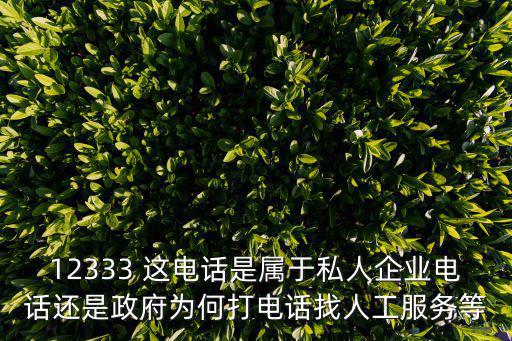 12333 這電話是屬于私人企業電話還是政府為何打電話找人工服務等