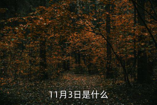 11月3日是什么