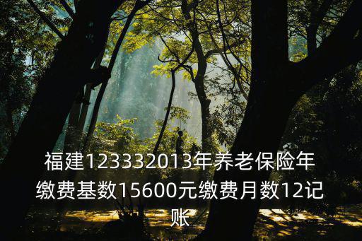 福建123332013年養老保險年繳費基數15600元繳費月數12記賬