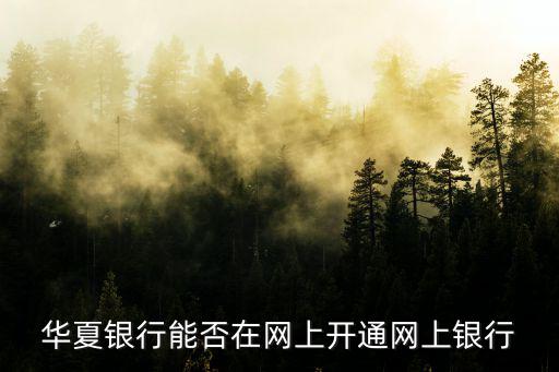 華夏銀行能否在網上開通網上銀行