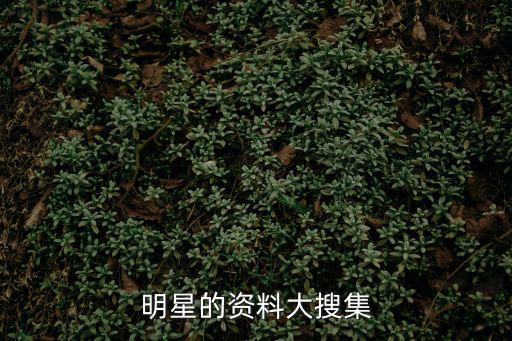 明星的資料大搜集