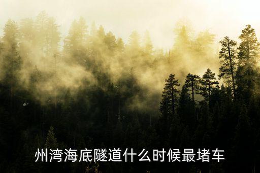 州灣海底隧道什么時候最堵車