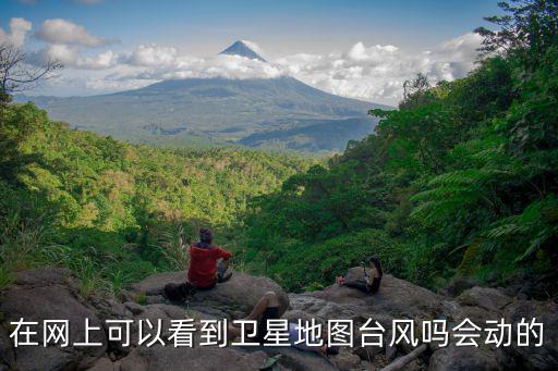 在網上可以看到衛星地圖臺風嗎會動的