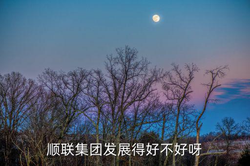 順聯集團發展得好不好呀