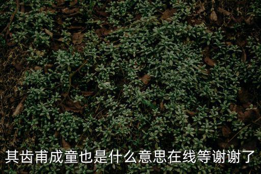 其齒甫成童也是什么意思在線等謝謝了