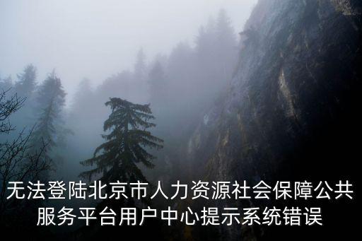 無法登陸北京市人力資源社會保障公共服務平臺用戶中心提示系統錯誤