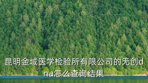昆明金域醫(yī)學(xué)檢驗(yàn)所有限公司的無(wú)創(chuàng)dna怎么查詢結(jié)果