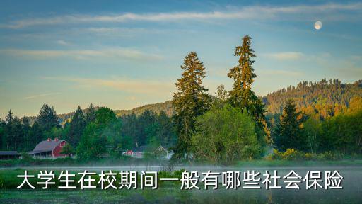 大學生在校期間一般有哪些社會保險