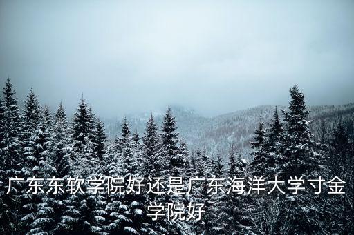 廣東東軟學院，廣東東軟學院專科地址