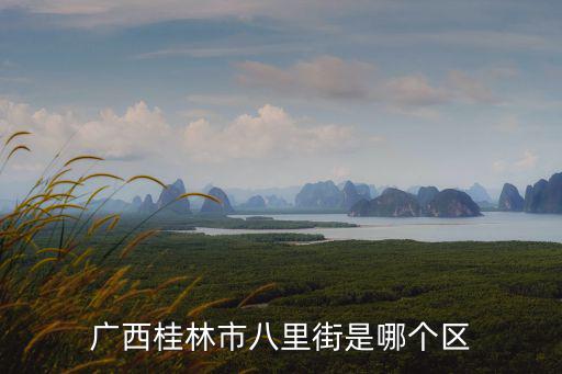 廣西桂林市八里街是哪個區(qū)