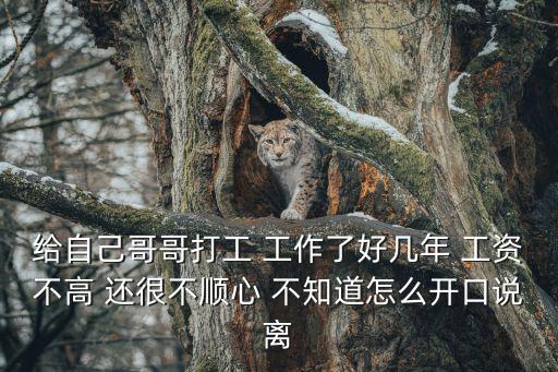 給自己哥哥打工 工作了好幾年 工資不高 還很不順心 不知道怎么開口說離
