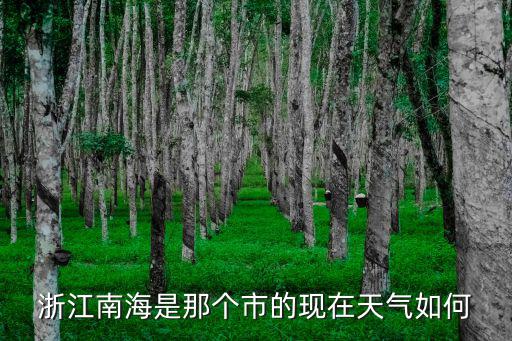 浙江南海是那個市的現在天氣如何