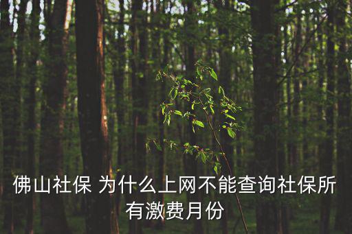 佛山社保 為什么上網不能查詢社保所有激費月份