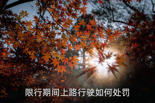 限行期間上路行駛如何處罰