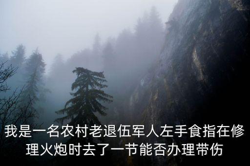 八一軍殘補助，八級傷殘軍人的一次性補助應在部隊領取多少