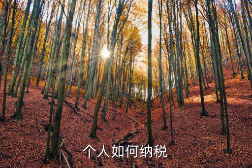 個人如何納稅