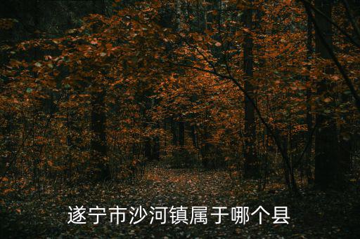 河沙鎮，河沙鎮在那啊