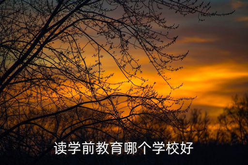 學前教育學校，學前教育專業哪個學校最好專科