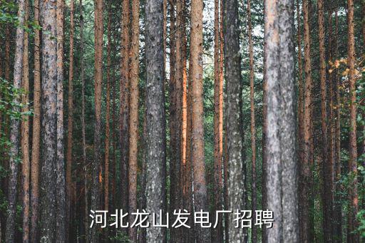 涉縣招聘，涉縣天鐵這一塊什么廠子招聘啊