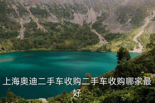 上海奧迪二手車收購二手車收購哪家最好