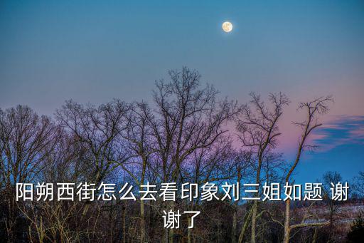 陽朔西街怎么去看印象劉三姐如題 謝謝了