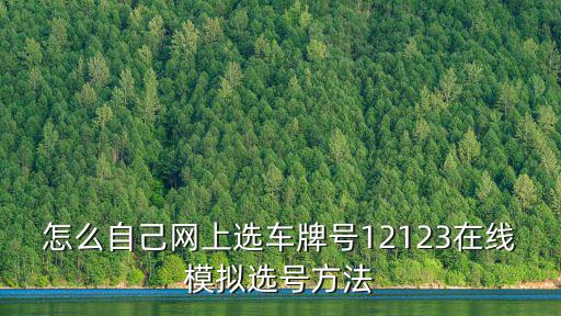 怎么自己網上選車牌號12123在線模擬選號方法