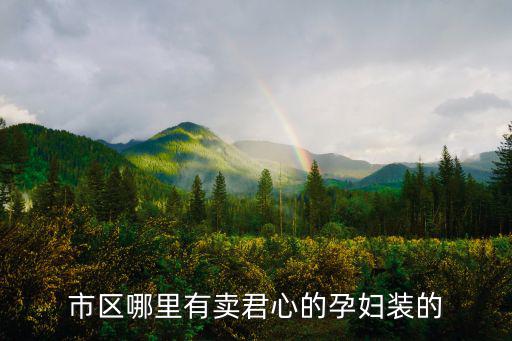 市區哪里有賣君心的孕婦裝的