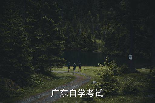 廣東自學考試官網，廣東省成人專科自考官網是
