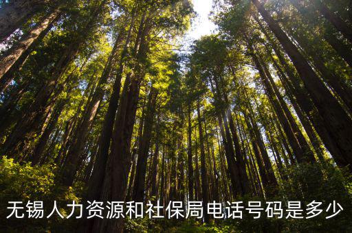 無錫人力資源和社保局電話號碼是多少