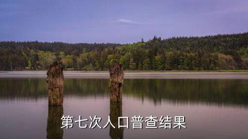 第七次人口普查數據，中國第7次人口普查多少人