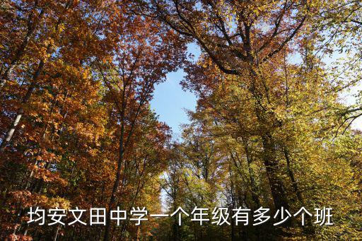 均安文田中學一個年級有多少個班