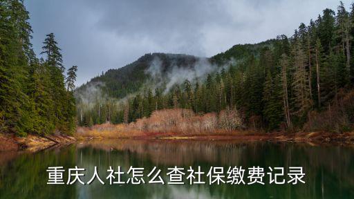 重慶人社怎么查社保繳費記錄