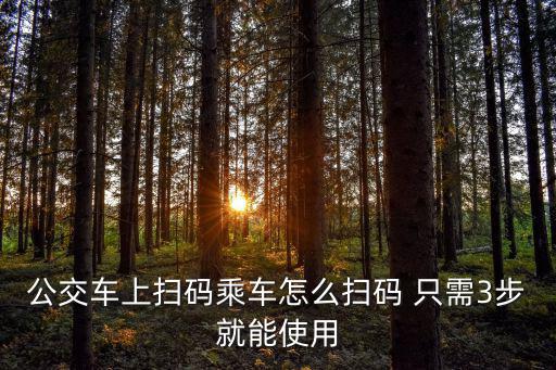 公交車上掃碼乘車怎么掃碼 只需3步就能使用
