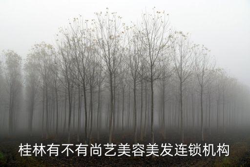 桂林有不有尚藝美容美發連鎖機構