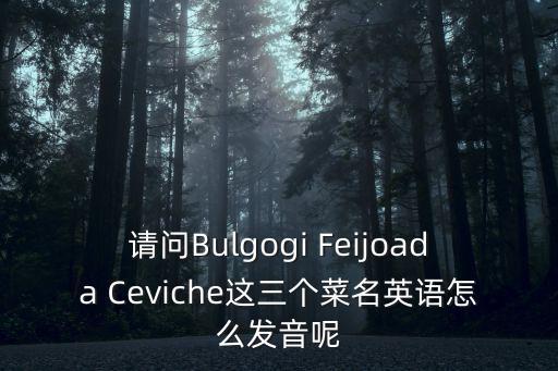 請問Bulgogi Feijoada Ceviche這三個菜名英語怎么發(fā)音呢