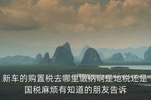 新車的購置稅去哪里繳納啊是地稅還是國稅麻煩有知道的朋友告訴