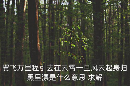 翼飛萬里程引去在云霄一旦風(fēng)云起身歸黑里漂是什么意思 求解