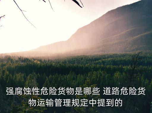 強腐蝕性危險貨物是哪些 道路危險貨物運輸管理規定中提到的