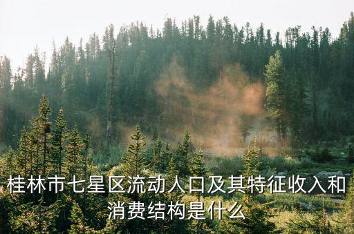 桂林市七星區流動人口及其特征收入和消費結構是什么