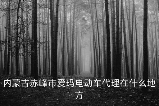內蒙古赤峰市愛瑪電動車代理在什么地方