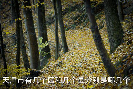 天津市行政區(qū)劃圖，天津市有幾個(gè)區(qū)和幾個(gè)縣分別是哪幾個(gè)