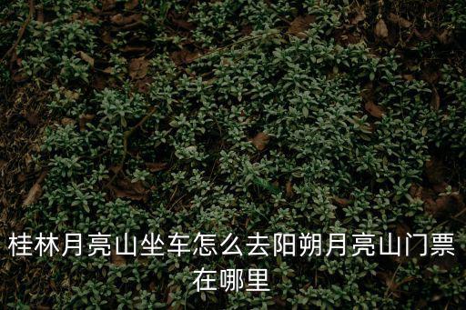 桂林月亮山坐車怎么去陽朔月亮山門票在哪里