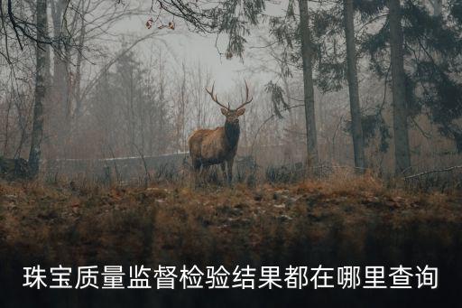 珠寶質(zhì)量監(jiān)督檢驗(yàn)結(jié)果都在哪里查詢