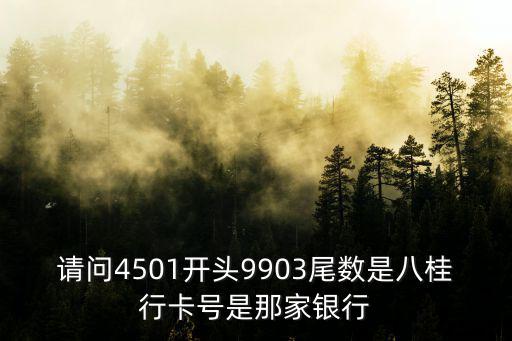 請問4501開頭9903尾數是八桂行卡號是那家銀行