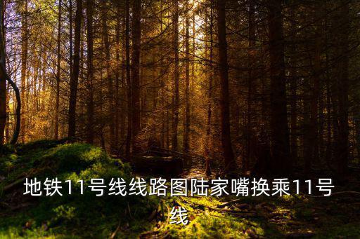 地鐵11號線線路圖陸家嘴換乘11號線